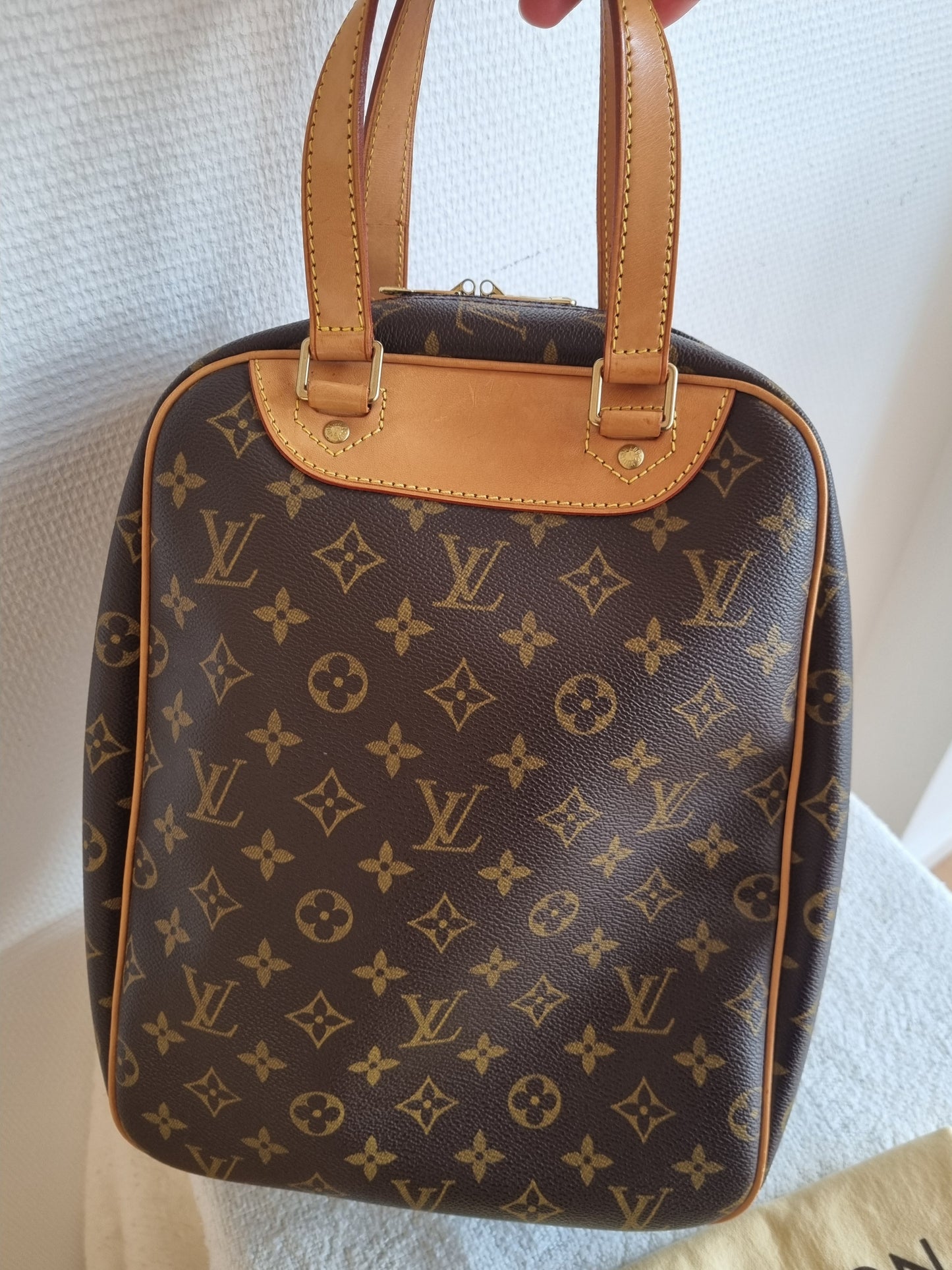 M41450 - Louis Vuitton Excursion Shoe Case handbag.