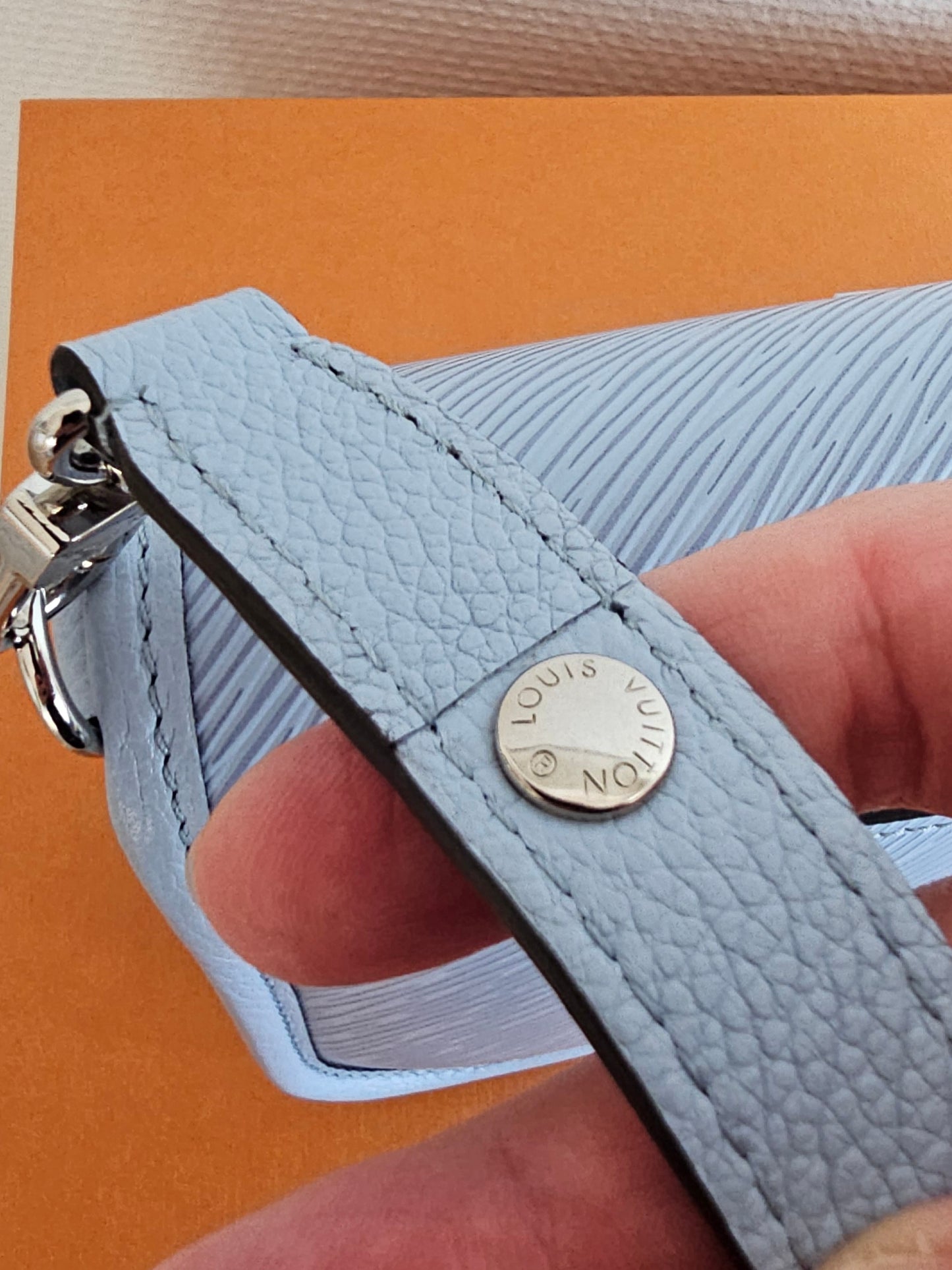 Louis Vuitton Buci bag - blue ( limited colour).