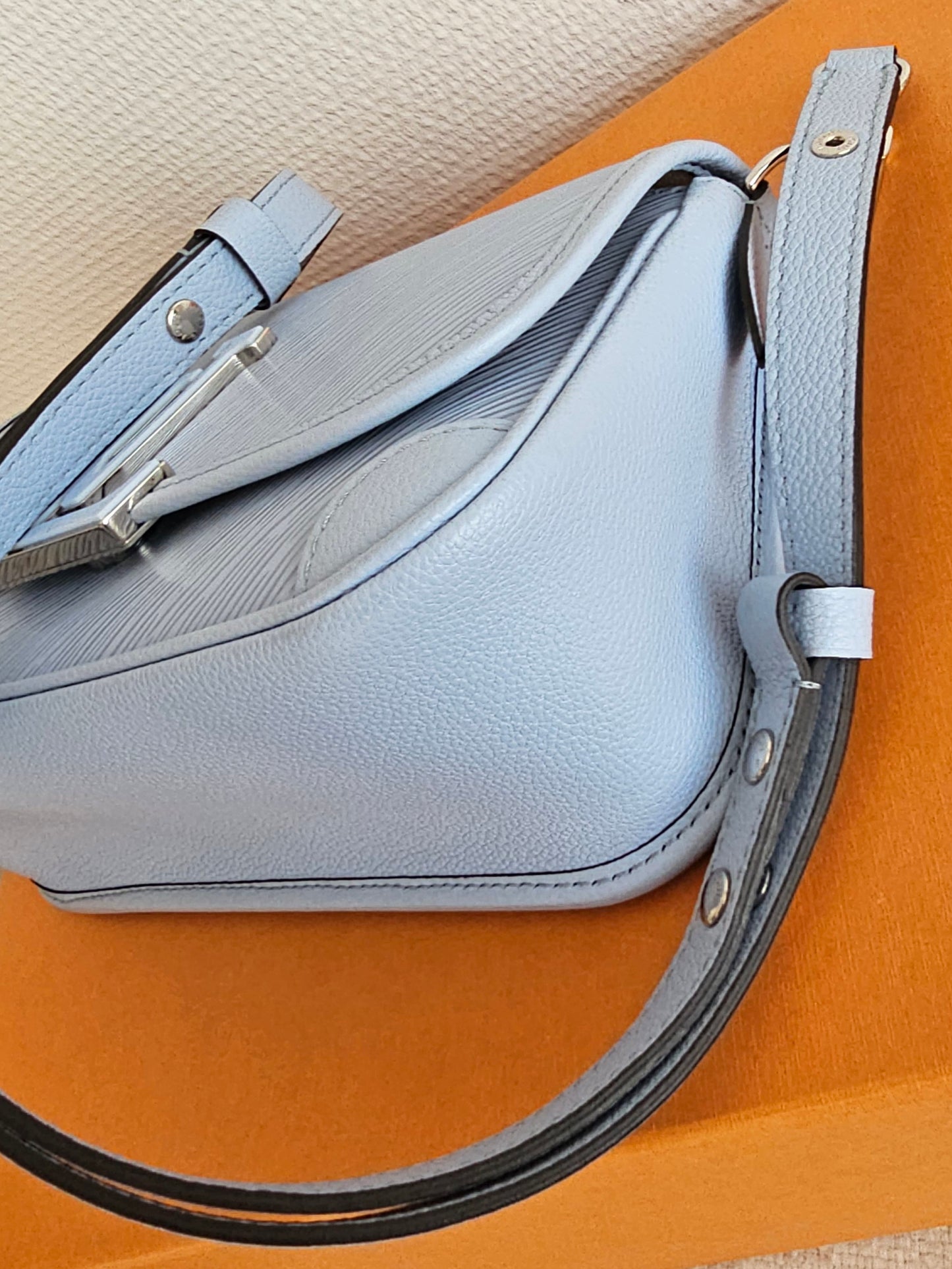 Louis Vuitton Buci bag - blue ( limited colour).