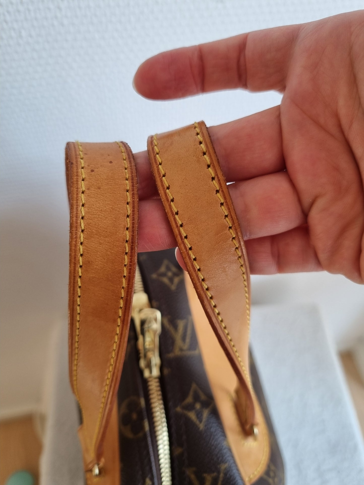 M41450 - Louis Vuitton Excursion Shoe Case handbag.