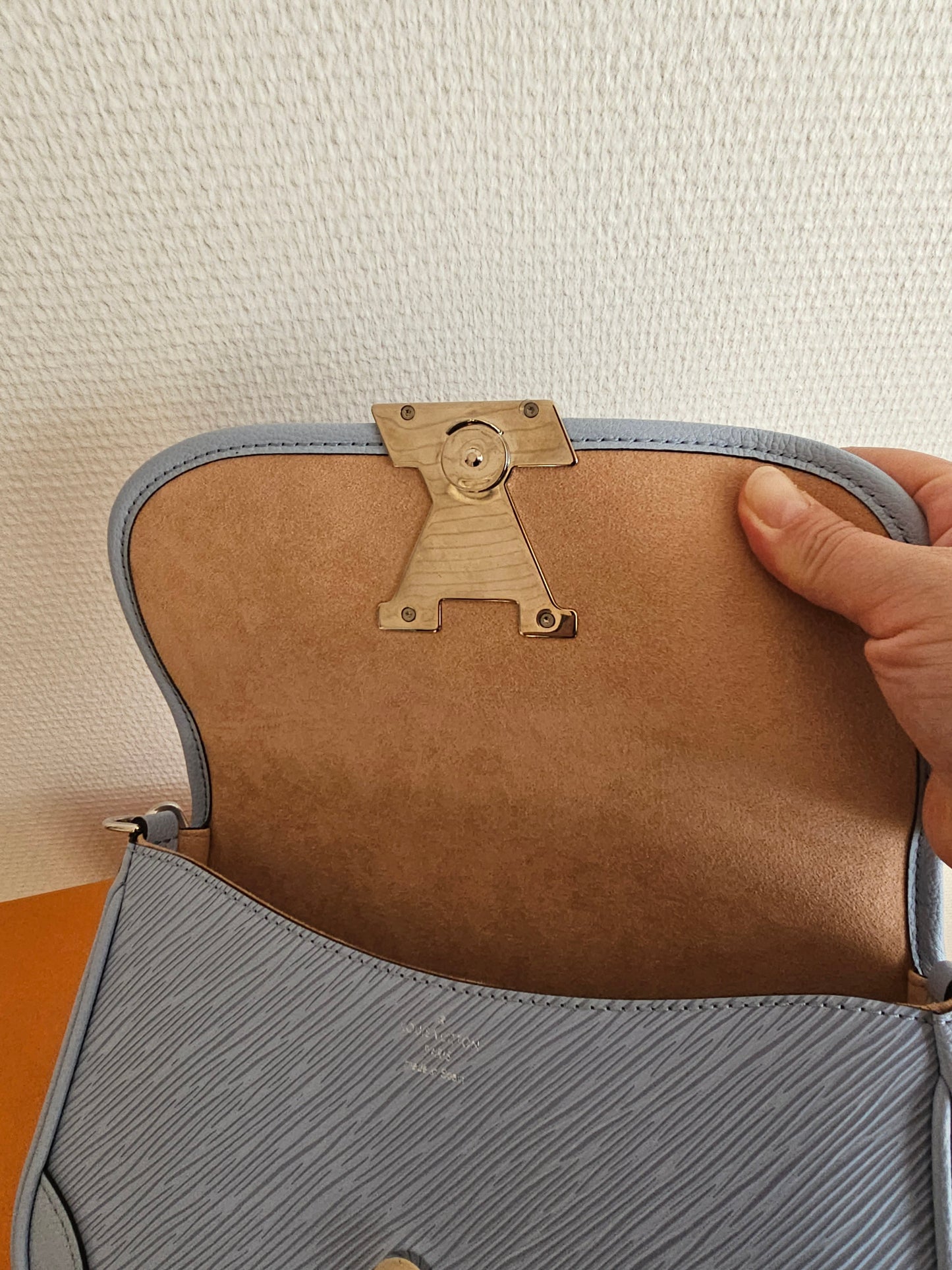 Louis Vuitton Buci bag - blue ( limited colour).