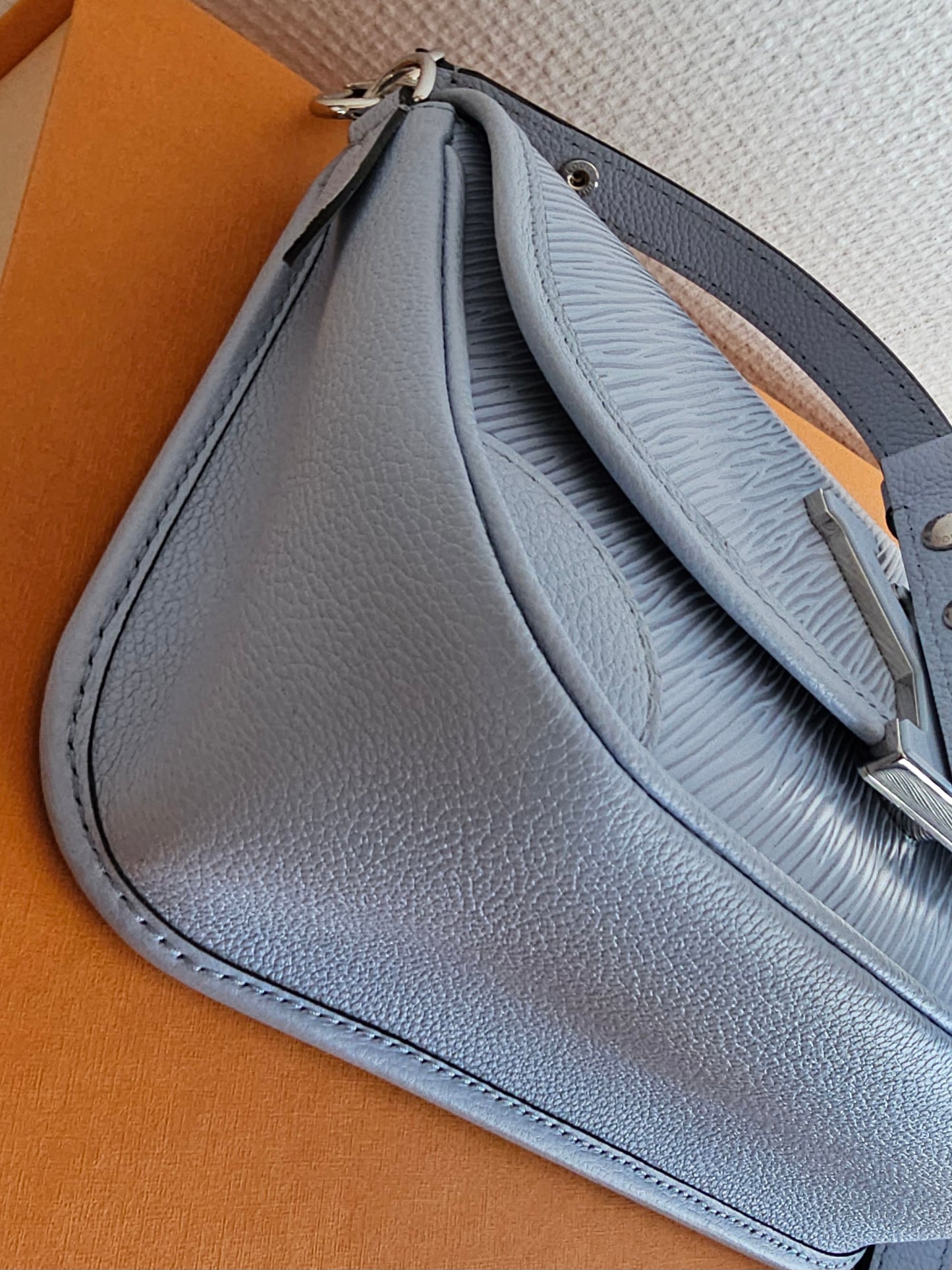 Louis Vuitton Buci bag - blue ( limited colour).