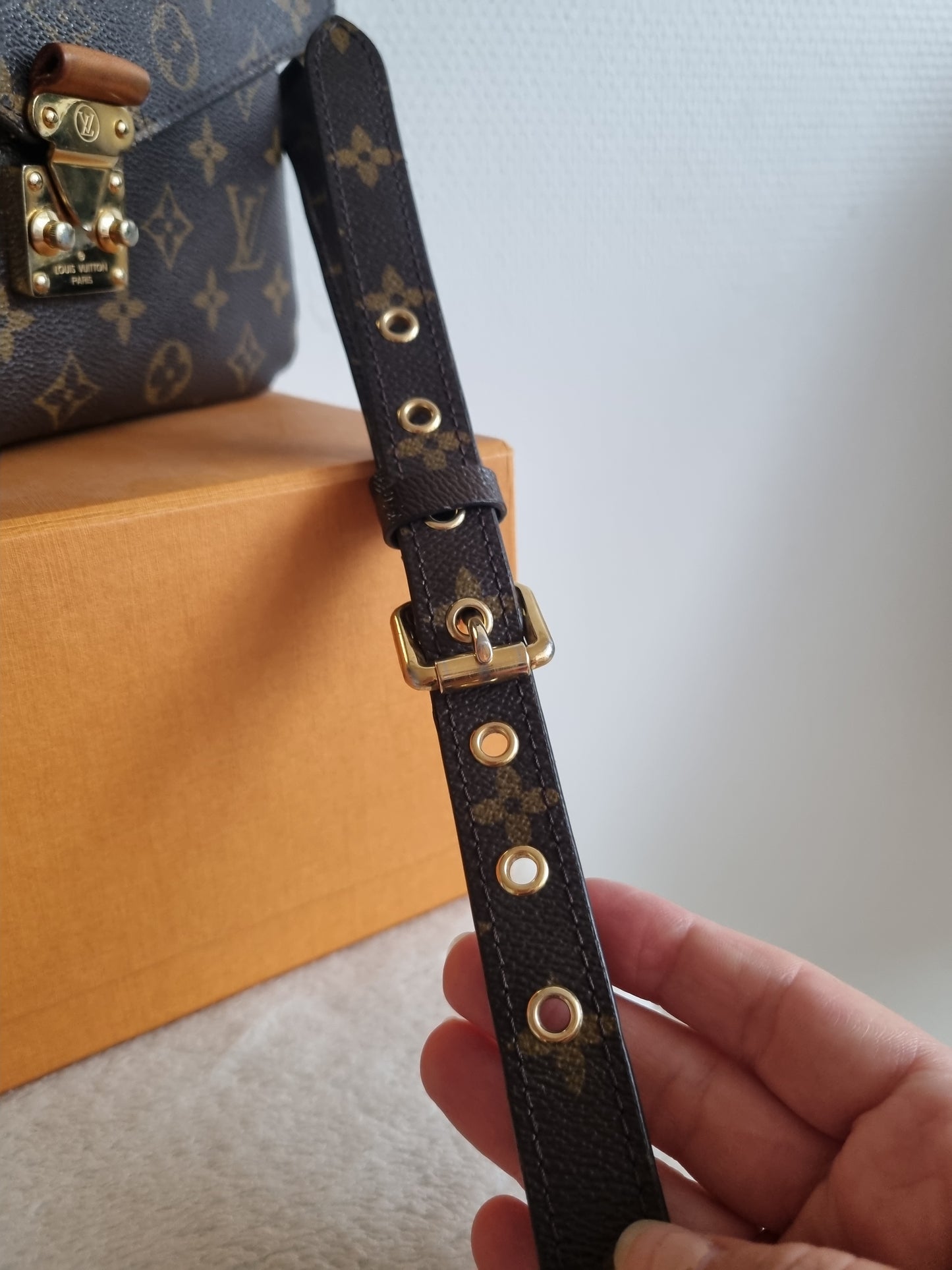 Louis Vuitton pochette Mètis, monogram kanvas.