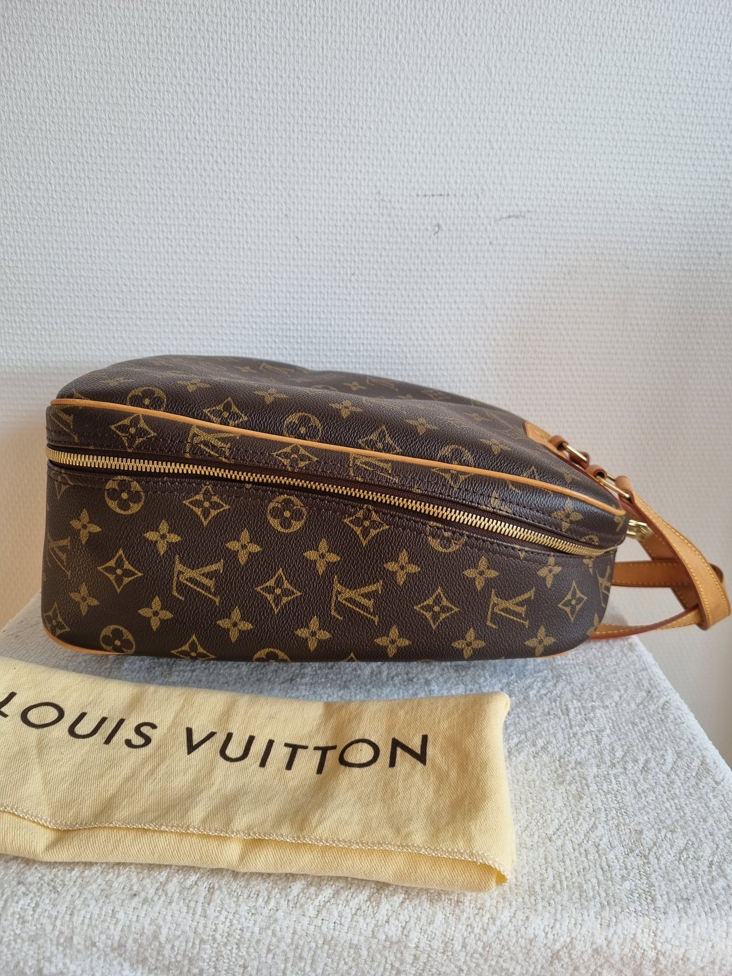 M41450 - Louis Vuitton Excursion Shoe Case handbag.