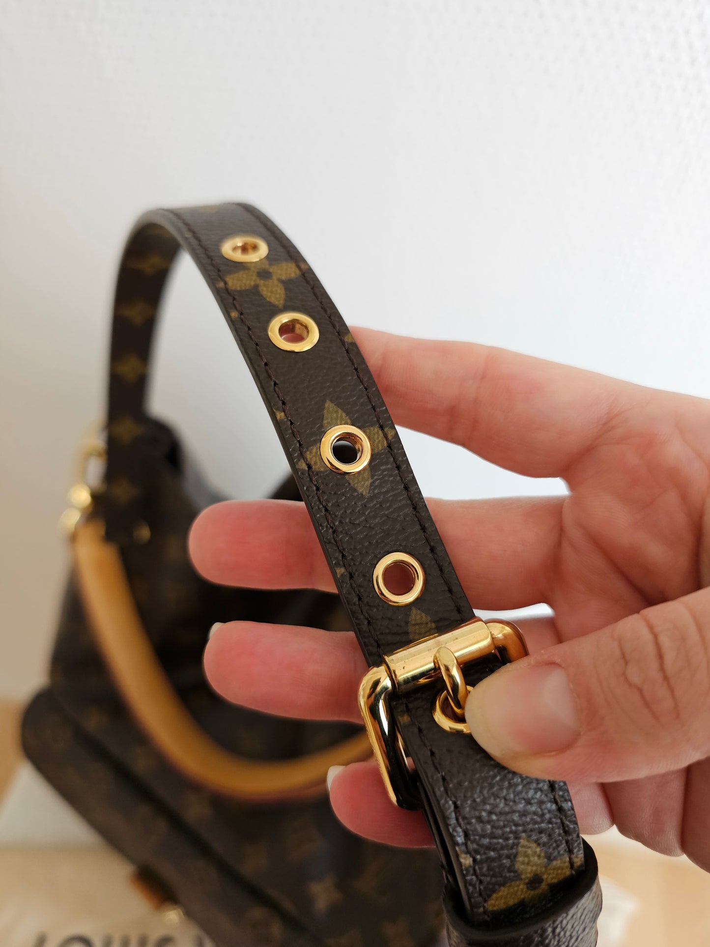 Louis Vuitton Metis Hobo, monogram kanvas.