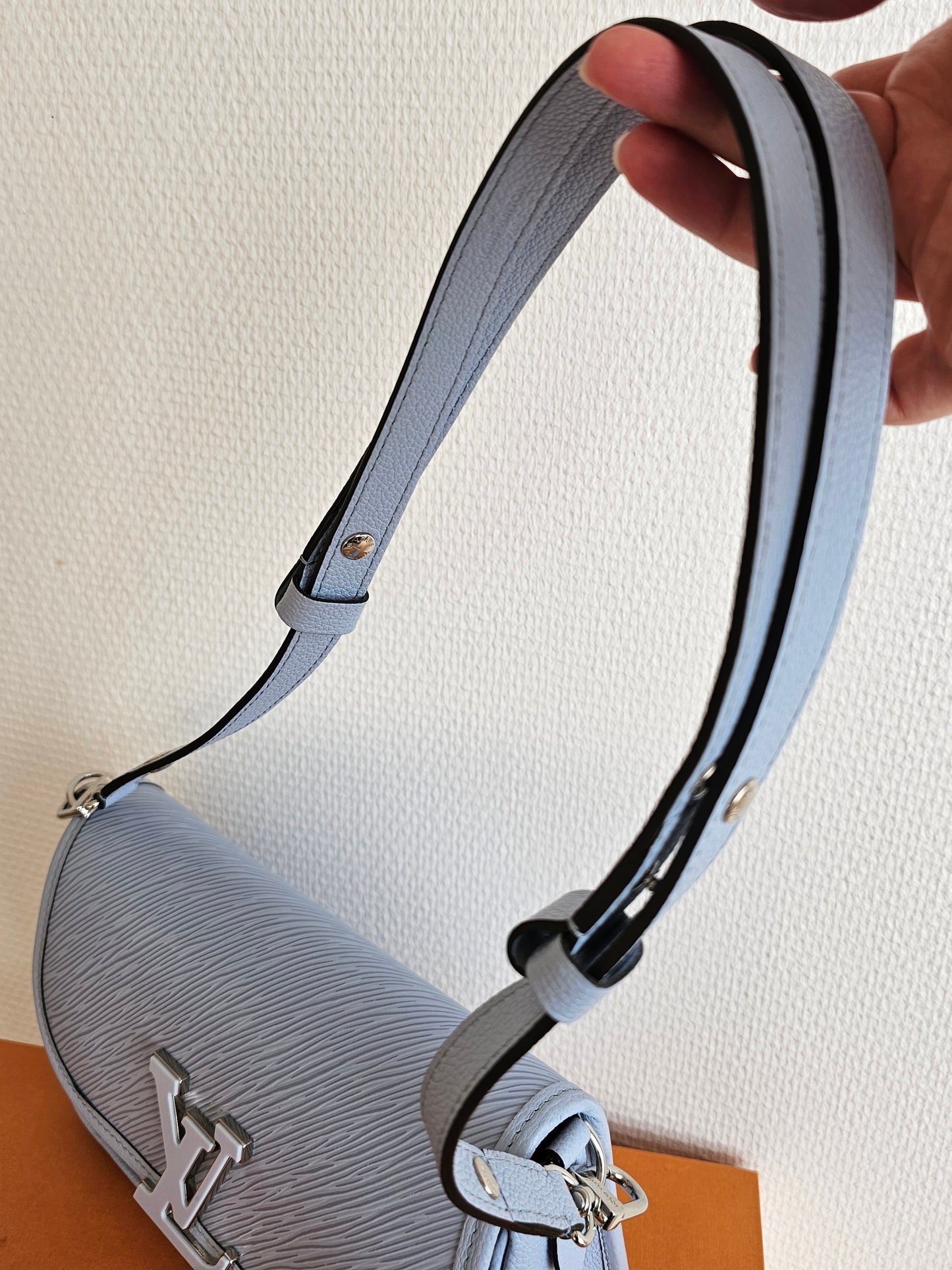 Louis Vuitton Buci bag - blue ( limited colour).