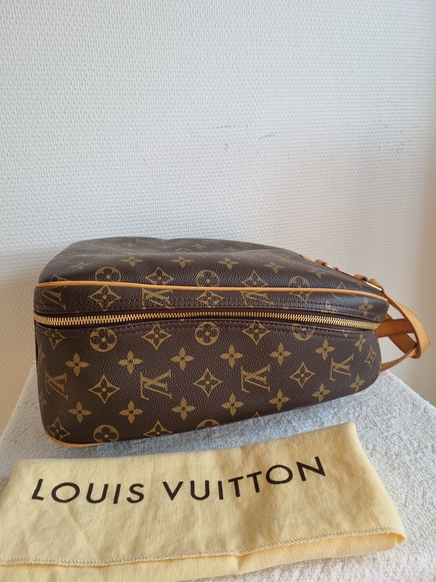 M41450 - Louis Vuitton Excursion Shoe Case handbag.