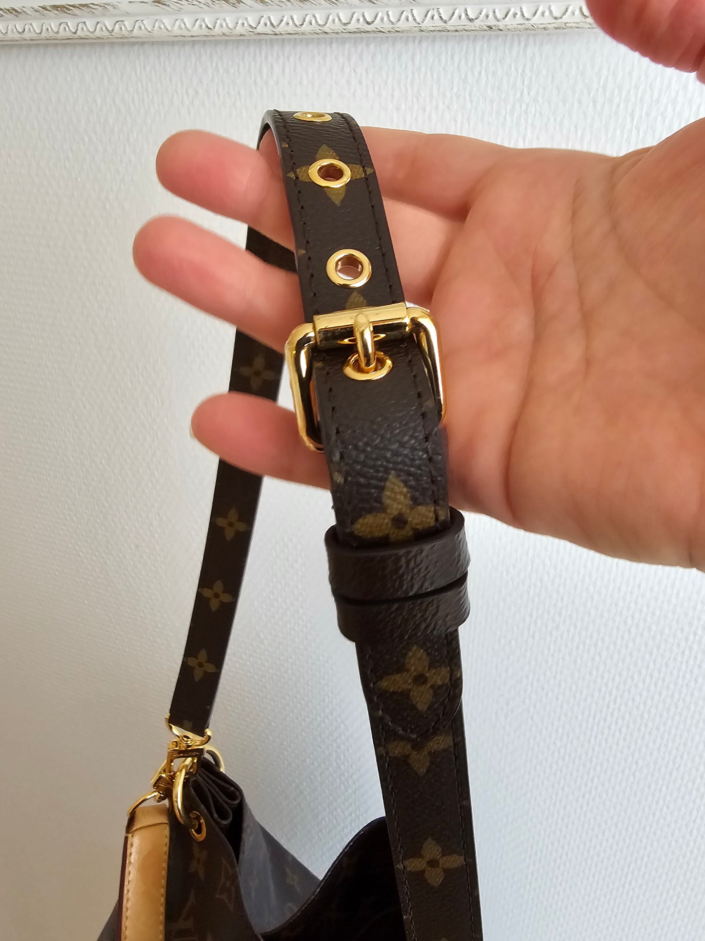 Louis Vuitton Metis Hobo, monogram kanvas.