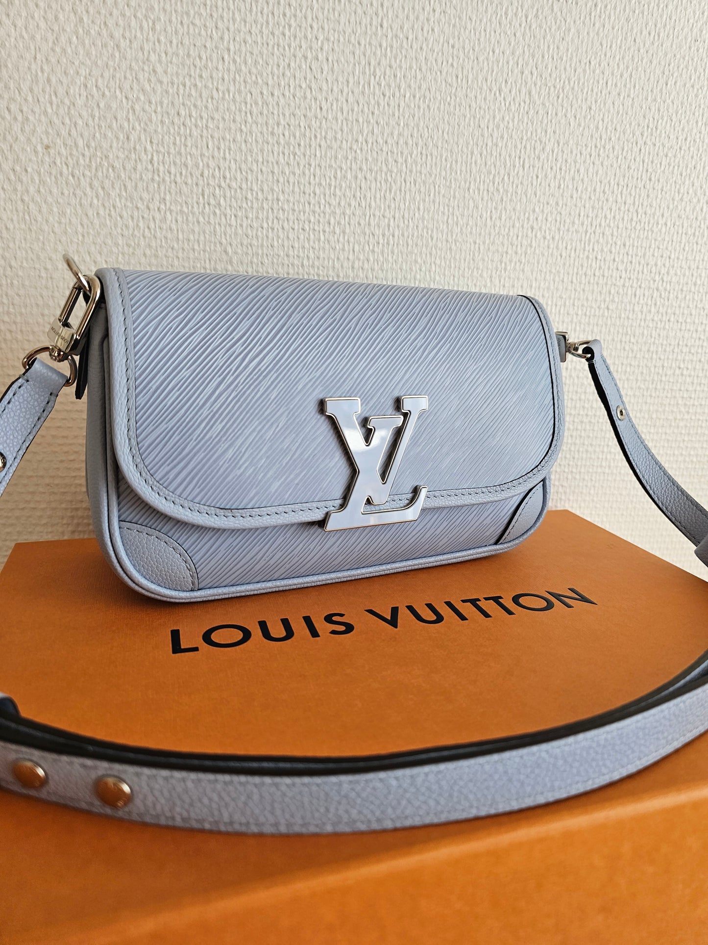 Louis Vuitton Buci bag - blue ( limited colour).