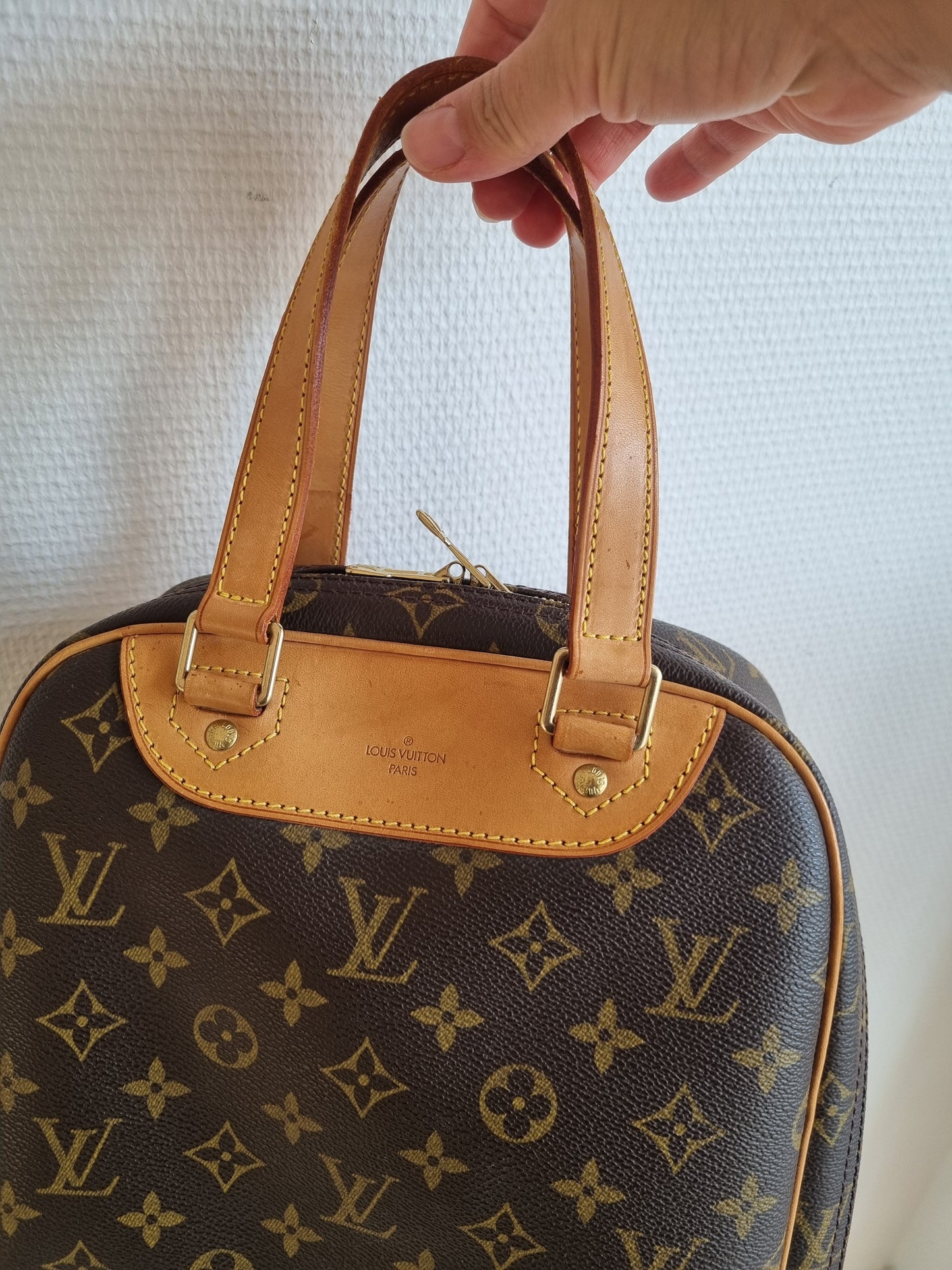 M41450 - Louis Vuitton Excursion Shoe Case handbag.