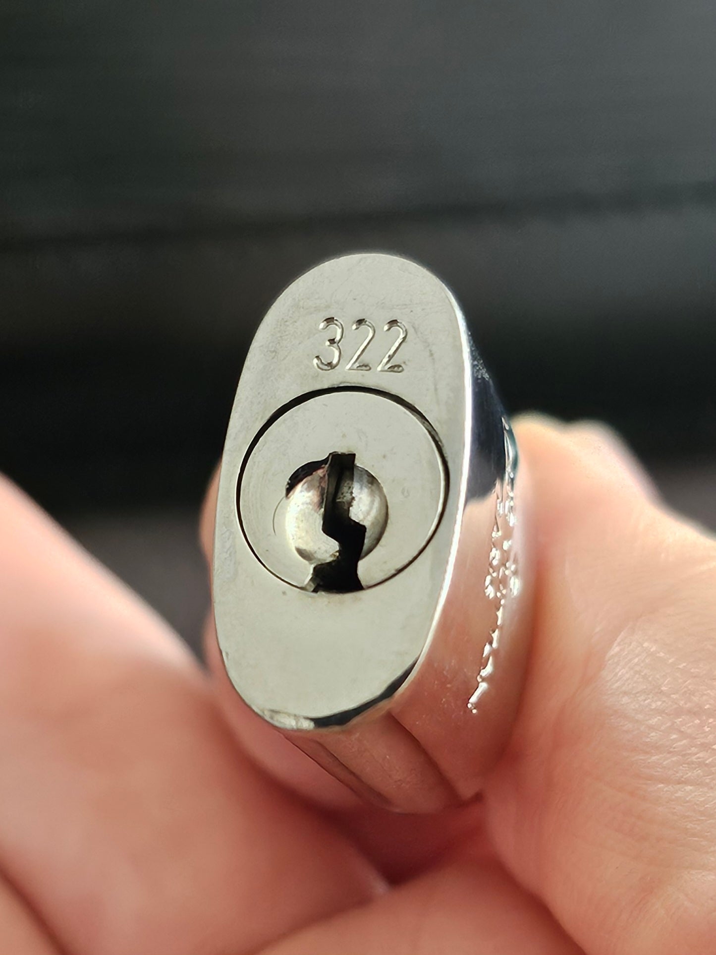 Louis Vuitton Alma PM with adjustable shoulder strap.