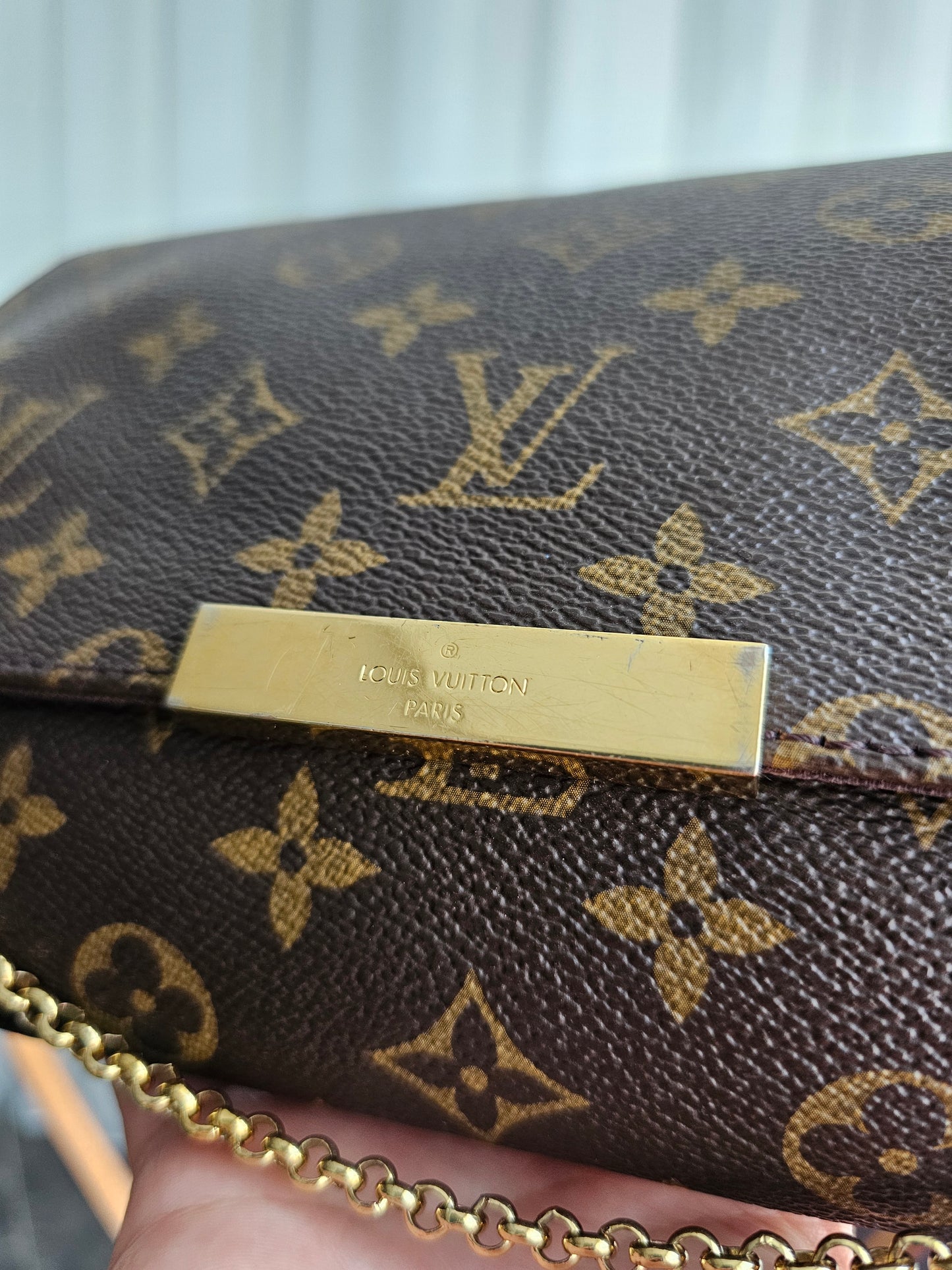 Louis Vuitton, Favorite MM, MNG. Kanvas.
