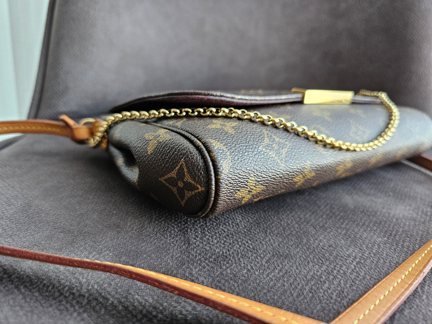 Louis Vuitton, Favorite MM, MNG. Kanvas.