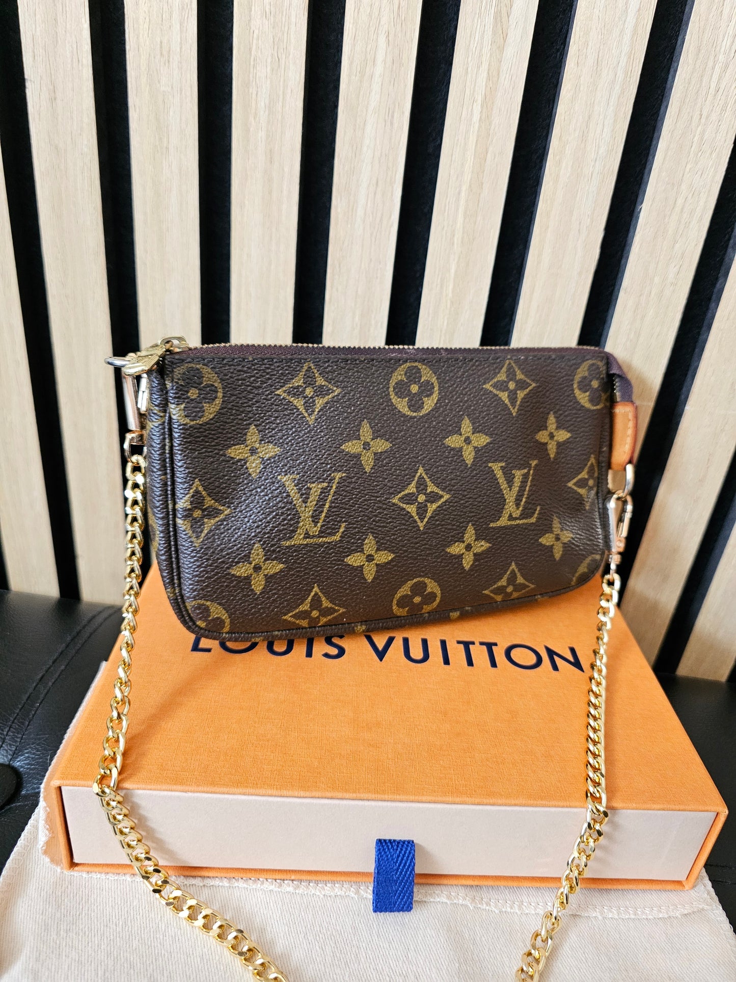 Louis Vuitton small pochette accesories, MNG. Kanvas