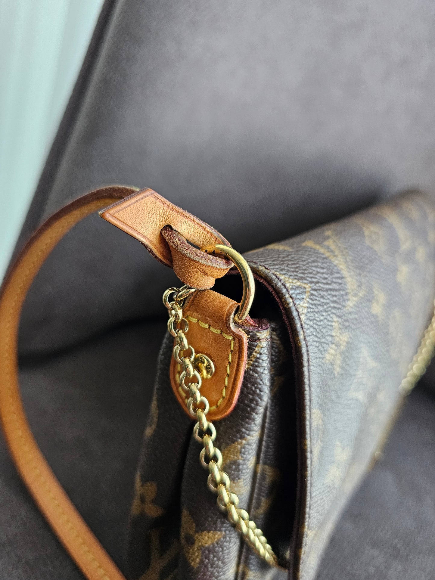 Louis Vuitton, Favorite MM, MNG. Kanvas.