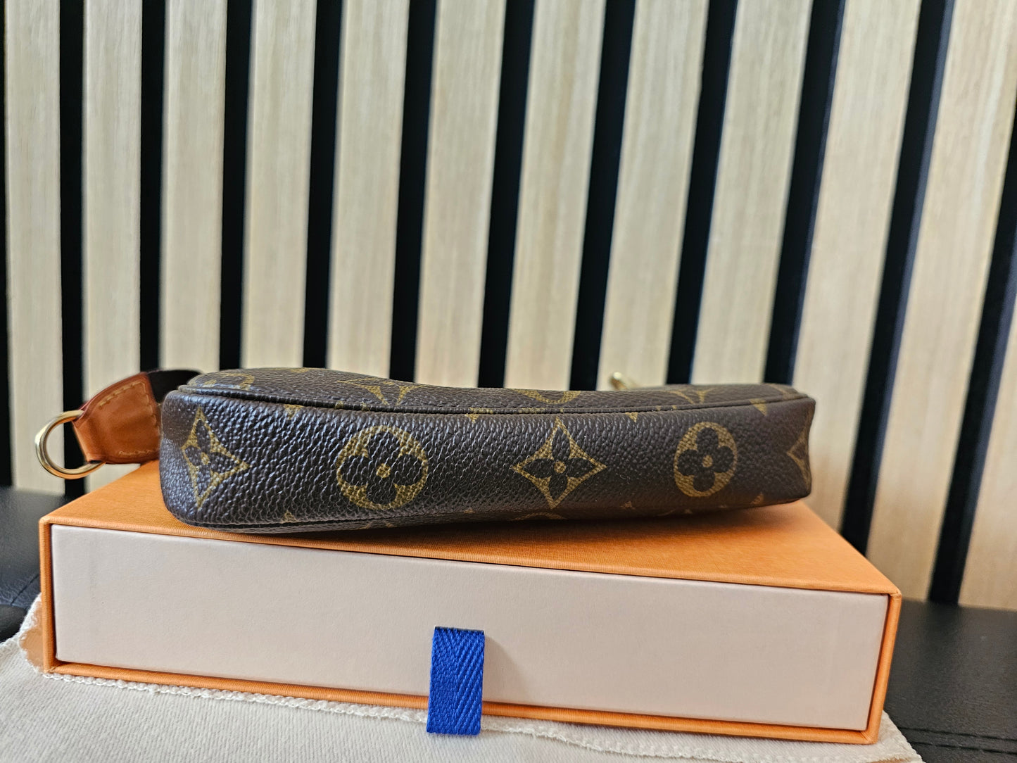 Louis Vuitton small pochette accesories, MNG. Kanvas