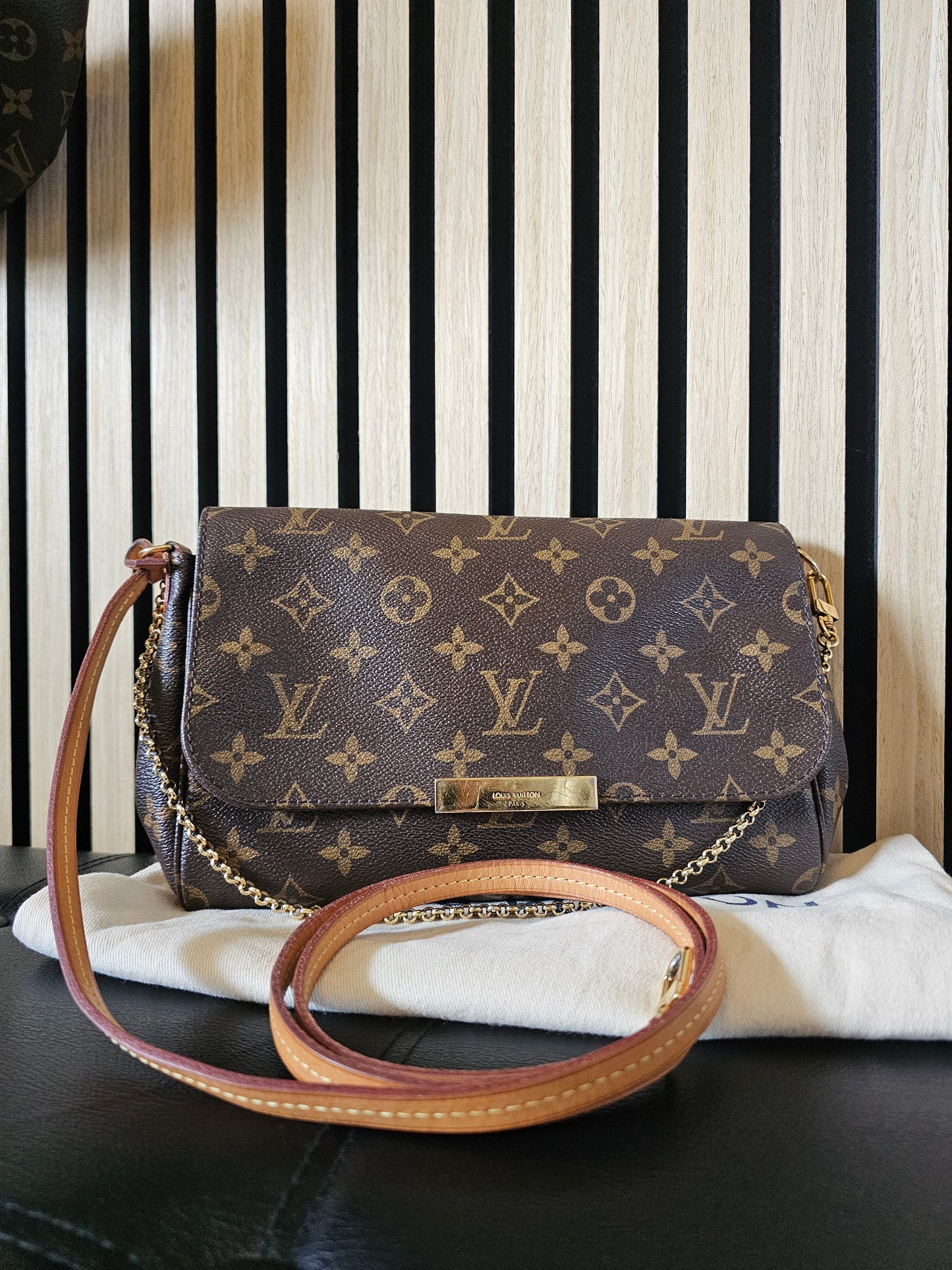 Louis Vuitton, Favorite MM, MNG. Kanvas.