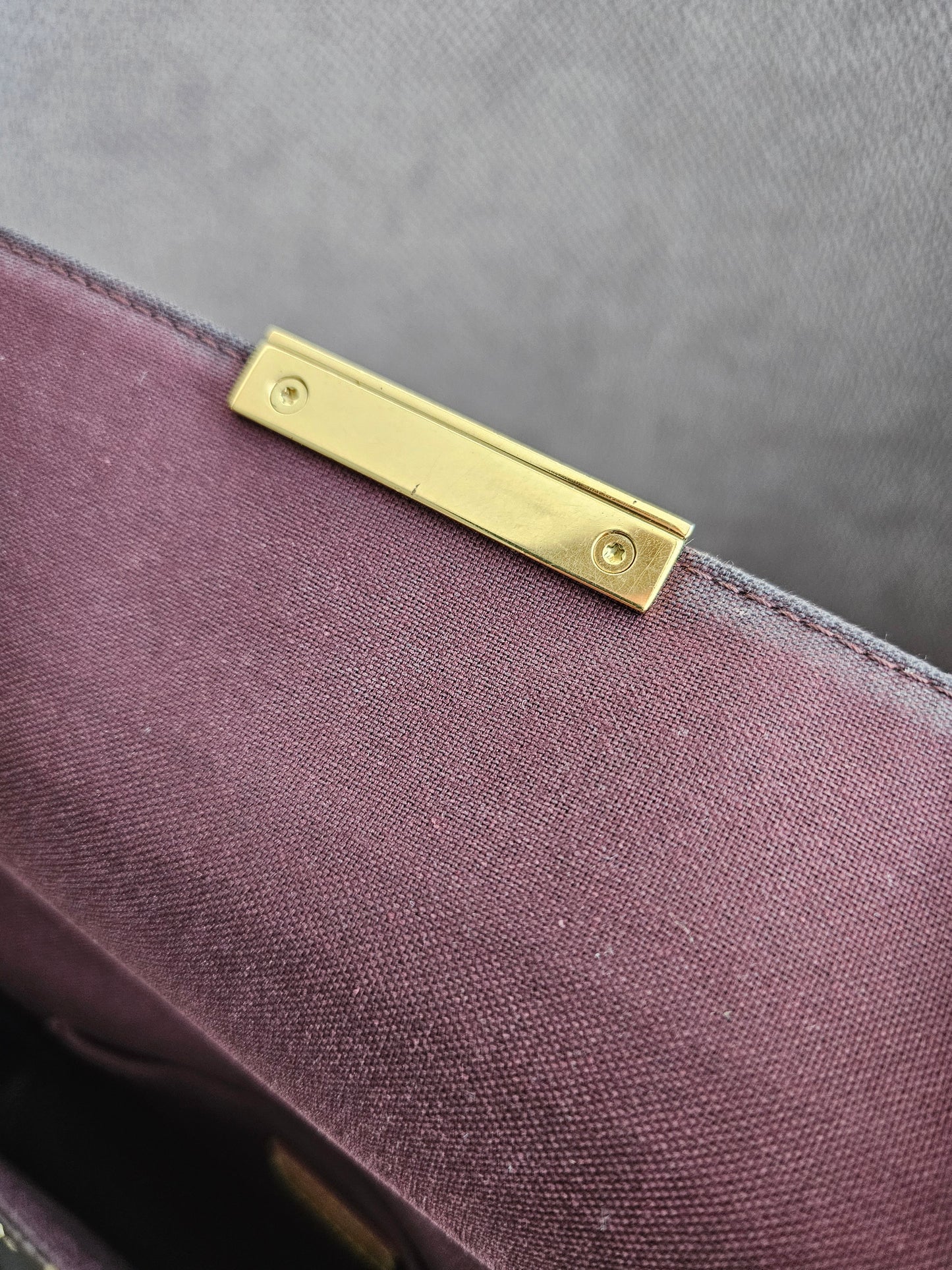 Louis Vuitton, Favorite MM, MNG. Kanvas.