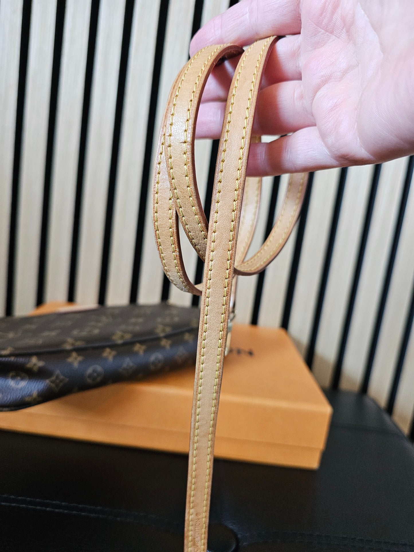 Louis Vuitton pochette accesories MNG kanvas.