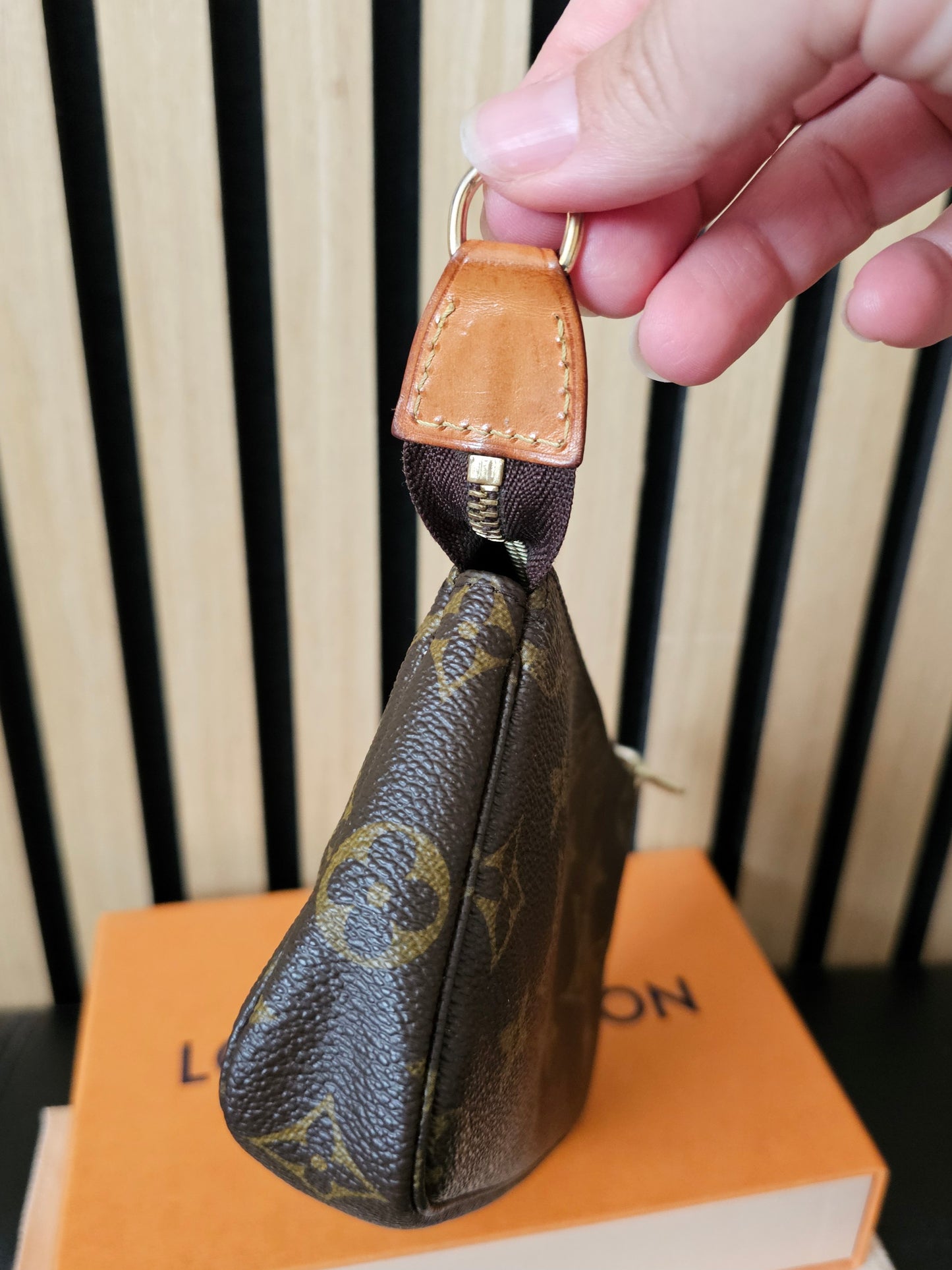 Louis Vuitton small pochette accesories, MNG. Kanvas