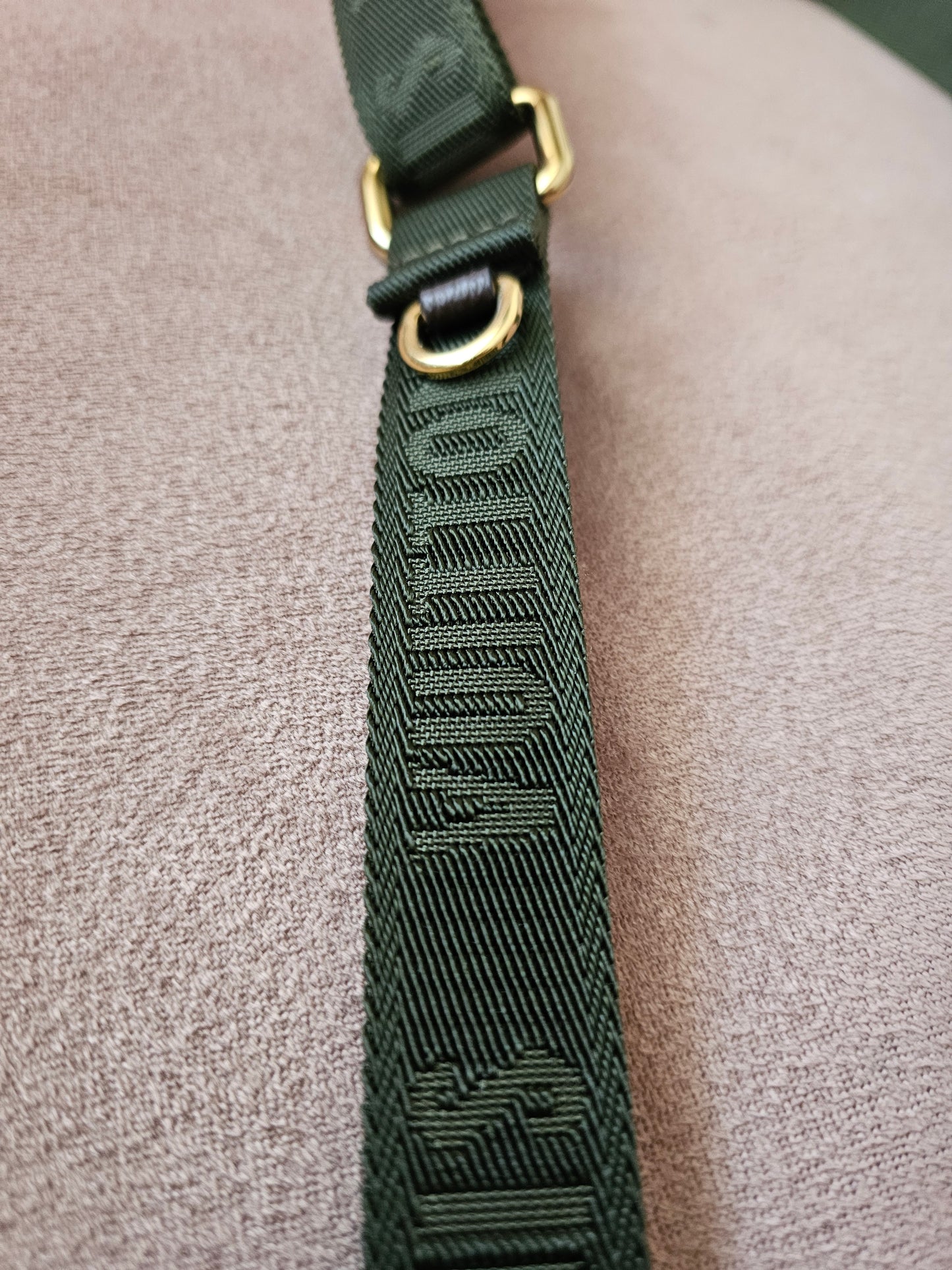 Louis Vuitton Khaki bandouliere.