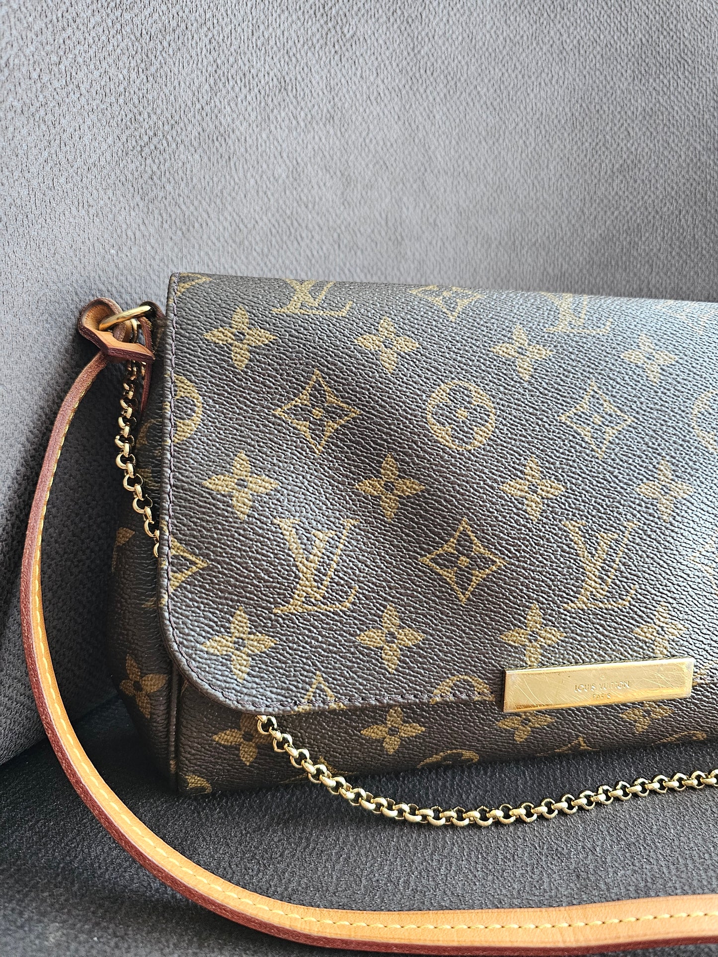 Louis Vuitton, Favorite MM, MNG. Kanvas.